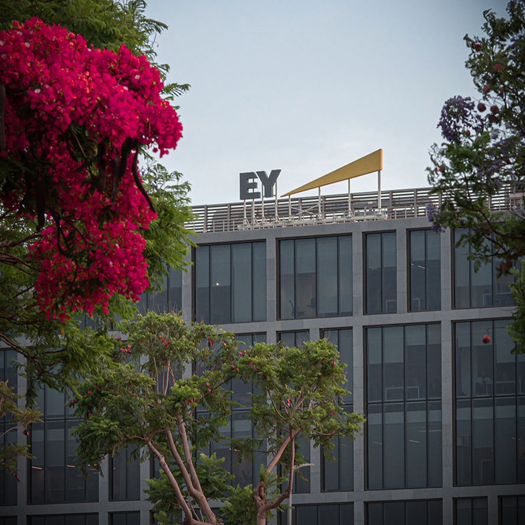 Corporate Signs in Egypt
